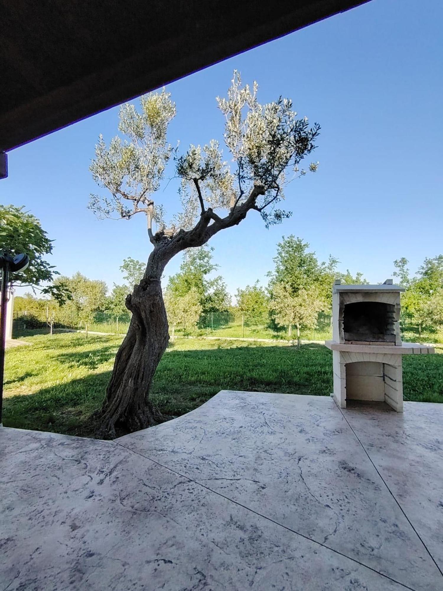 Casale Nel Verde San Vito Chietino Exteriör bild